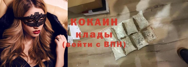 молекула духа Осинники