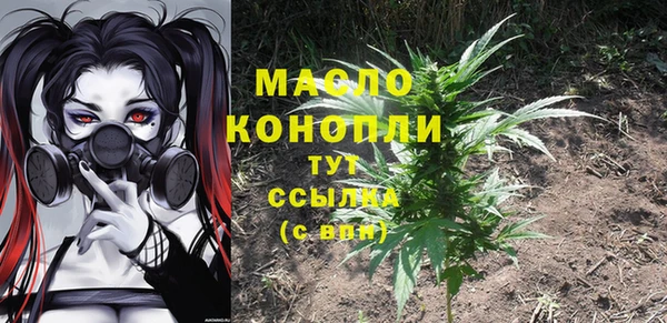 молекула духа Осинники