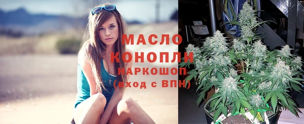 молекула духа Осинники