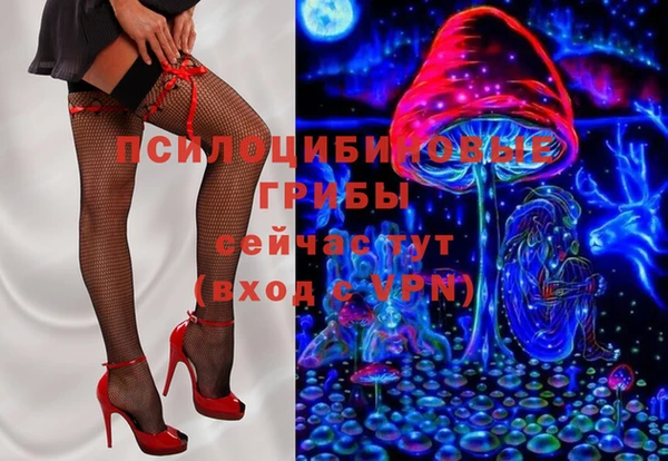 молекула духа Осинники