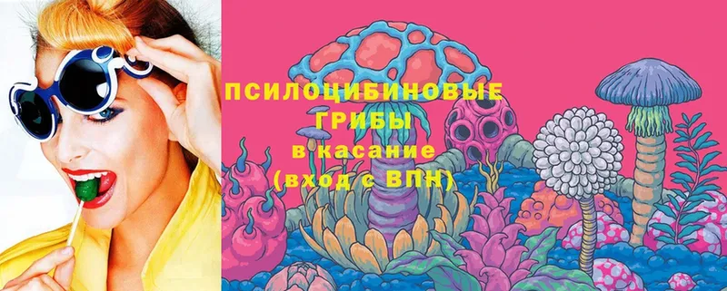 Галлюциногенные грибы Magic Shrooms  где найти   Гурьевск 