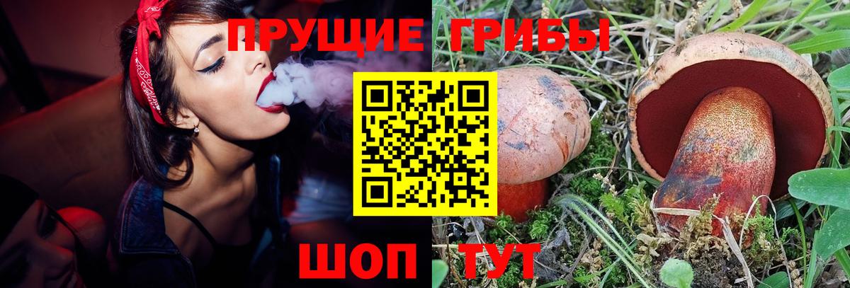 Галлюциногенные грибы мицелий  Гурьевск 