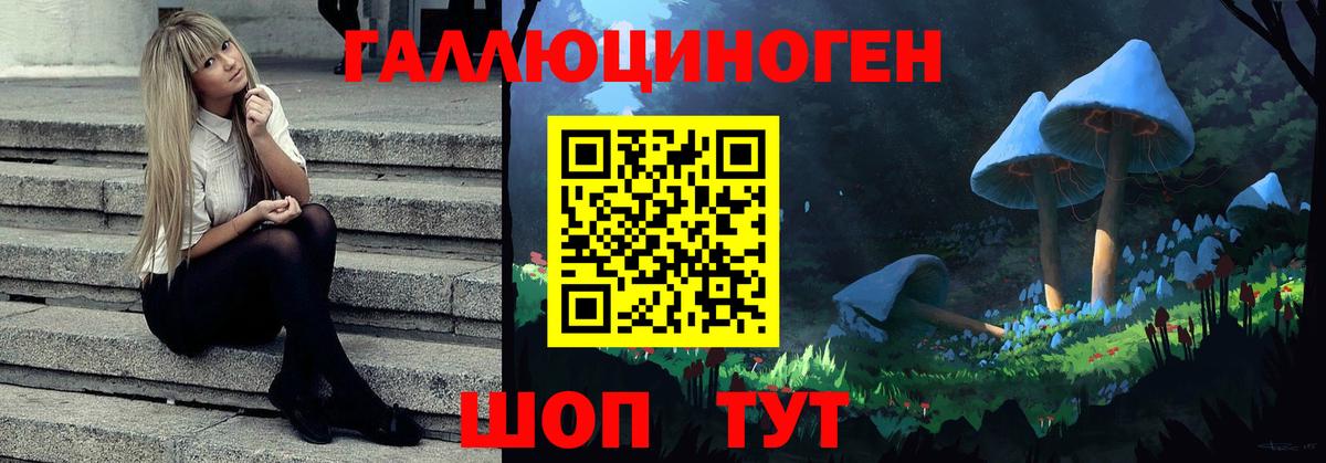 Гурьевск  Псилоцибиновые грибы MAGIC MUSHROOMS  цены   Вход с VPN 